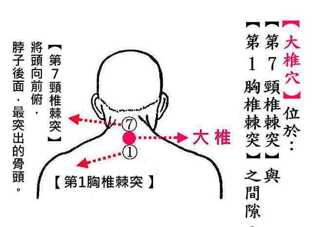 大椎位置图图片